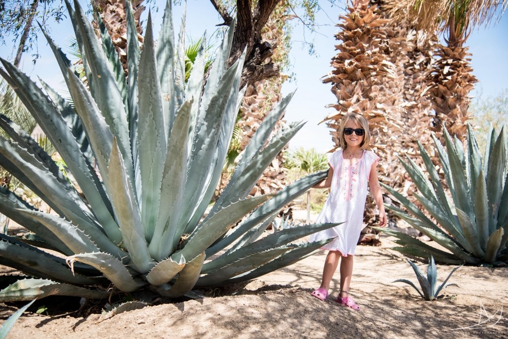 Arias next to huge aloe plant in Mexico